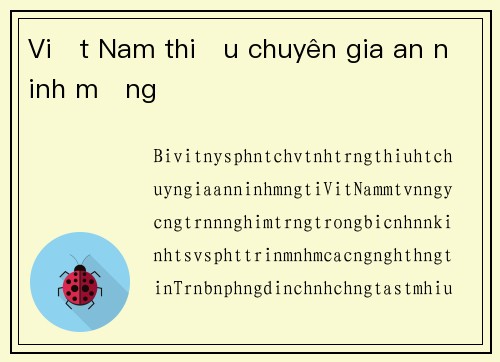 Việt Nam thiếu chuyên gia an ninh mạng