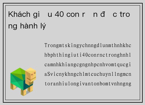 Khách giấu 40 con rắn độc trong hành lý